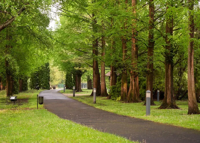 Lotus Therme & 5* Héviz